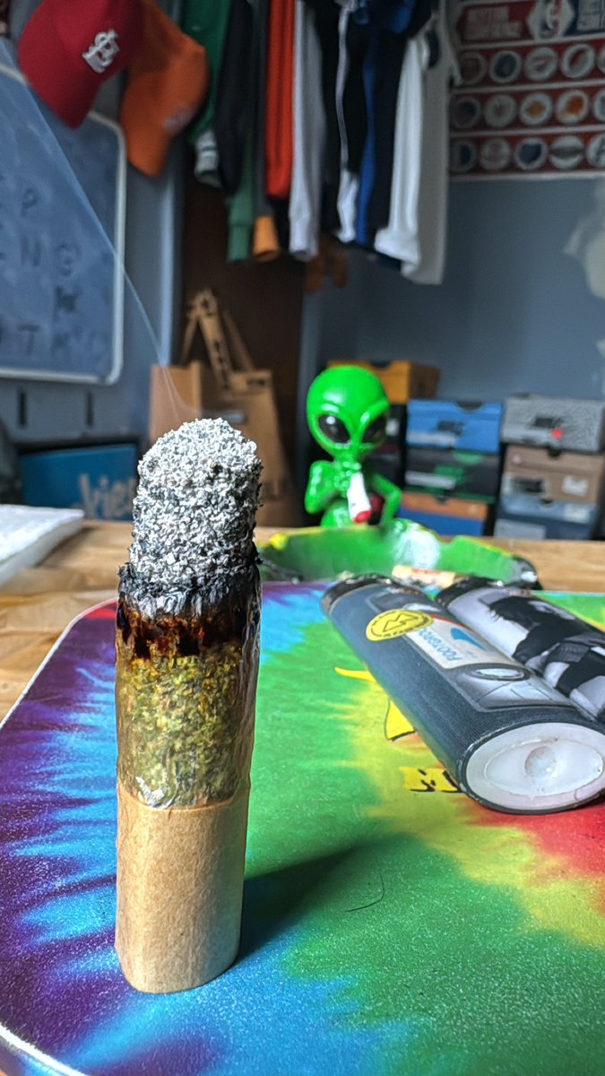 slowmotionsani's tweet photo. #RollOnTheGo 🔥@Finoandcompany https://t.co/o9tEpYHQrp