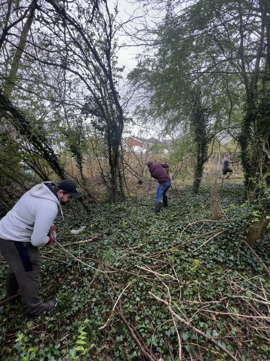 This week we had a team of five people volunteer at the @EssexWildlife Langdon Nature Discovery Park. The group did lots on the day, from gathering willow tree branches, litter picking, clearing pathways, dead-hedging and more! #volunteering #charity #supportlocal #teamwork