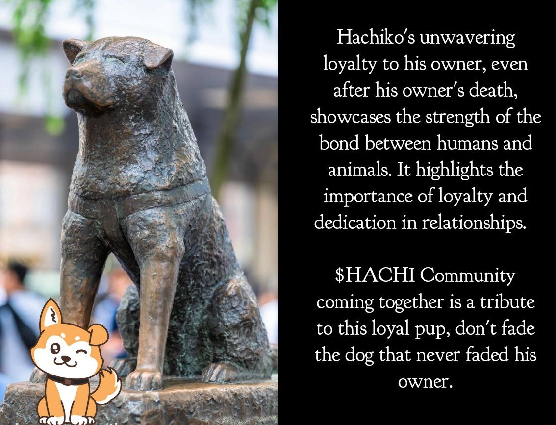 phlseoconsult's tweet photo. @iambroots $HACHI army LFGGG https://t.co/8n6ctt5Lec