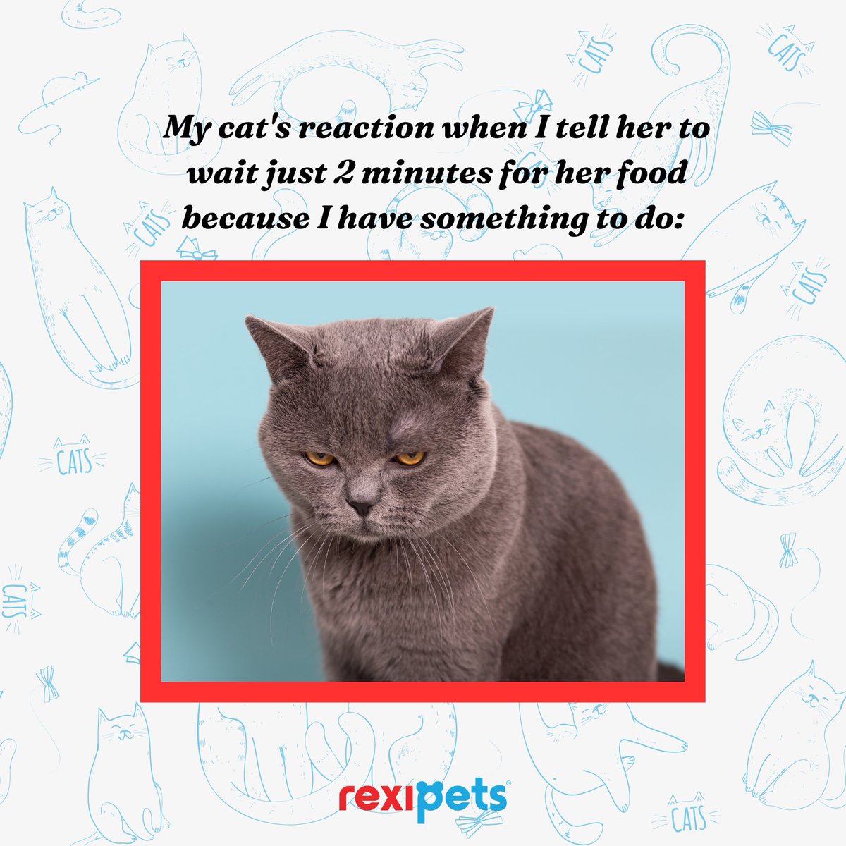 rexipets's tweet image. rexipets.com/?fbclid=PAAaas…