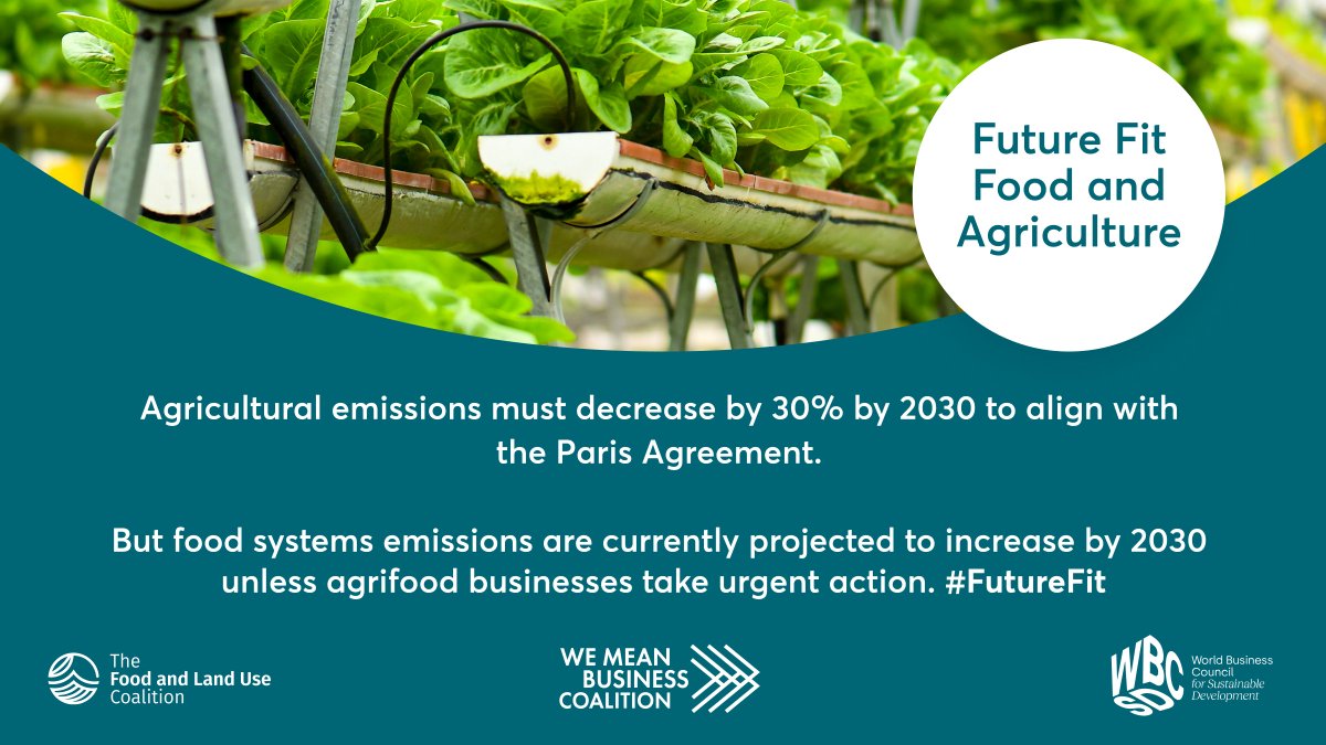 Governments are increasingly using voluntary frameworks to develop new climate & nature regulation. Agrifood companies that use these frameworks now will likely face fewer risks of non-compliance when new policies come into force. Make food & ag #FutureFit foodandlandusecoalition.org/knowledge-hub/…