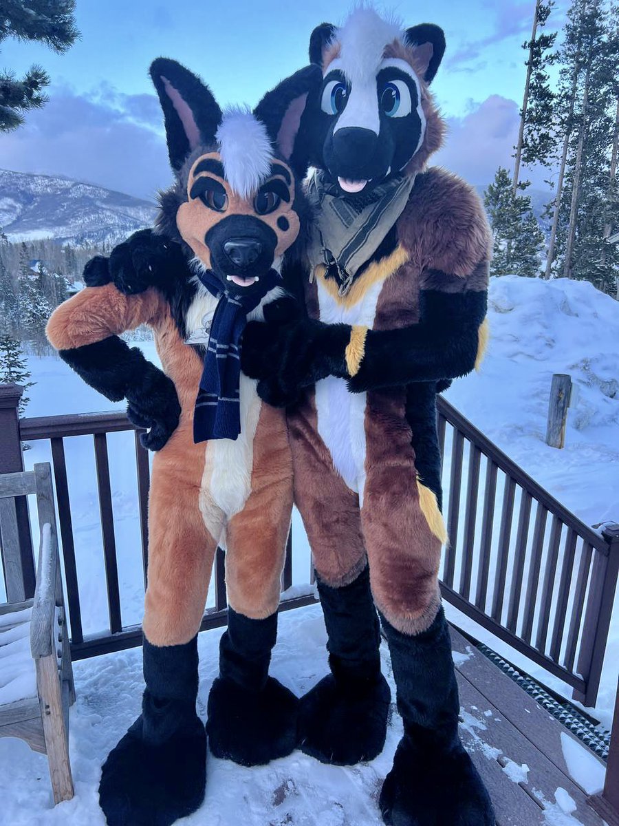 The mountains are my natural habitat. But this shep seems to appreciate it too! 📸: @DogMutt71 🧵: @RumWolf #FursuitFriday