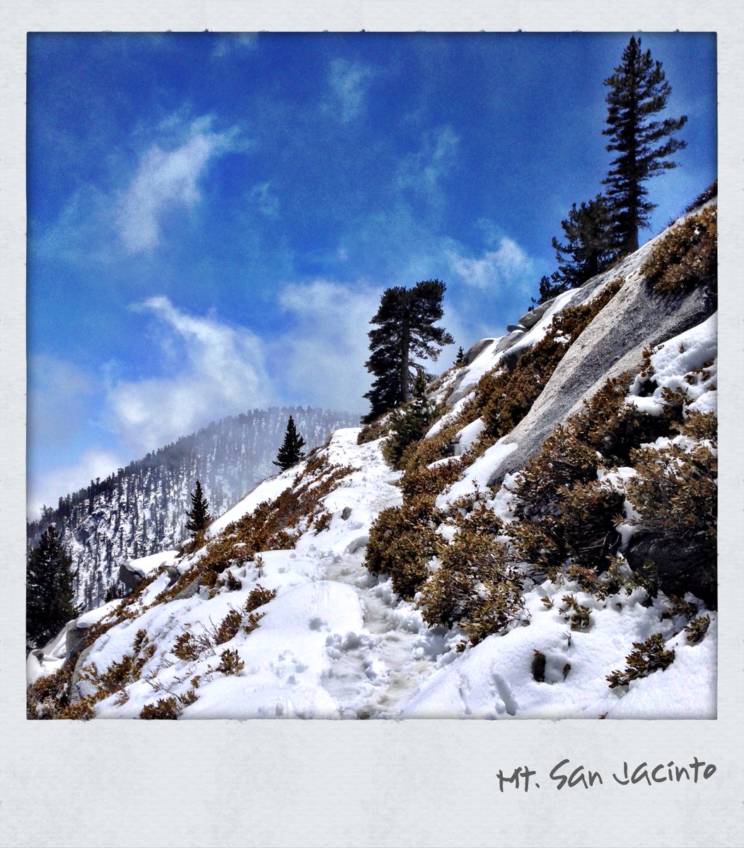 NWS San Diego tweet media