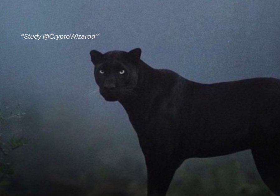 CryptoWizardd's tweet image. Gonna drop a new #btc update soon

Like retweet and share

Alpha soon 🔮📸