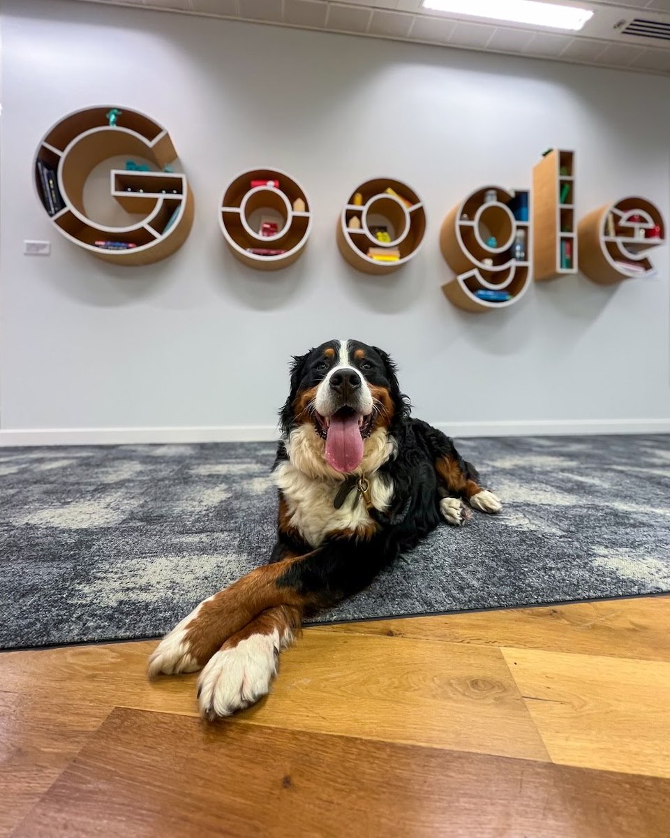 Going into the weekend like: 🐶 #LifeAtGoogle #Doogler