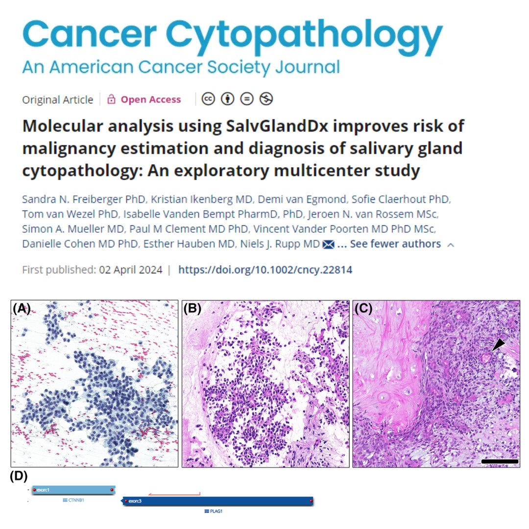 Cancer Cytopathology tweet media