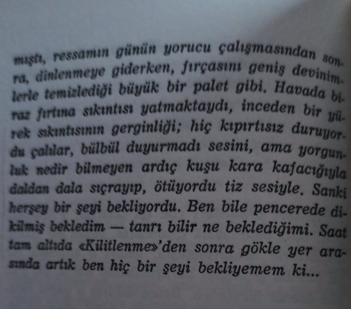 Rosa Luxemburg'un hapishane mektuplarında neredeyse baştan sona güzel doğa tasvirleriyle karşılaşma mutluluğu! Sayfalardan sürekli kuşlar, ağaçlar ve çiçekler geçiyor. Hem çok derin bir hüznü hem de inanılmaz bir varolma neşesi var.