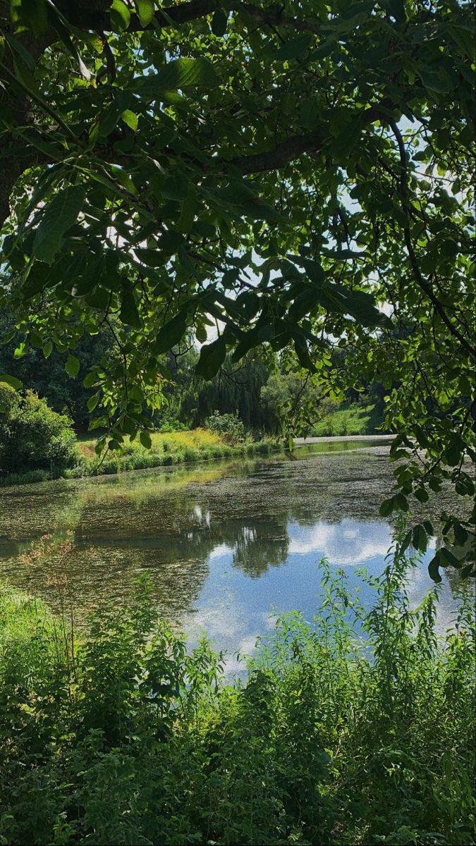 ᅠ ᅠ (@greendreaams) on Twitter photo 