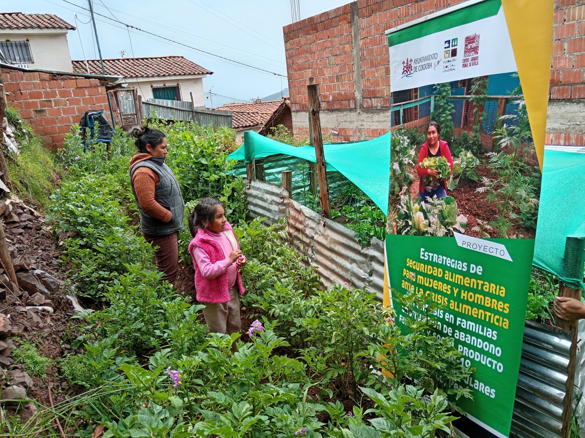 Segundo monitoreo a biohuertos de cuatro organizaciones sociales del Cusco. #FSUMontilla #CooperaciónInternacional #AlimentaciónSaludable #Cusco Noticia completa: fundacionsocialuniversal.org/segundo-monito…