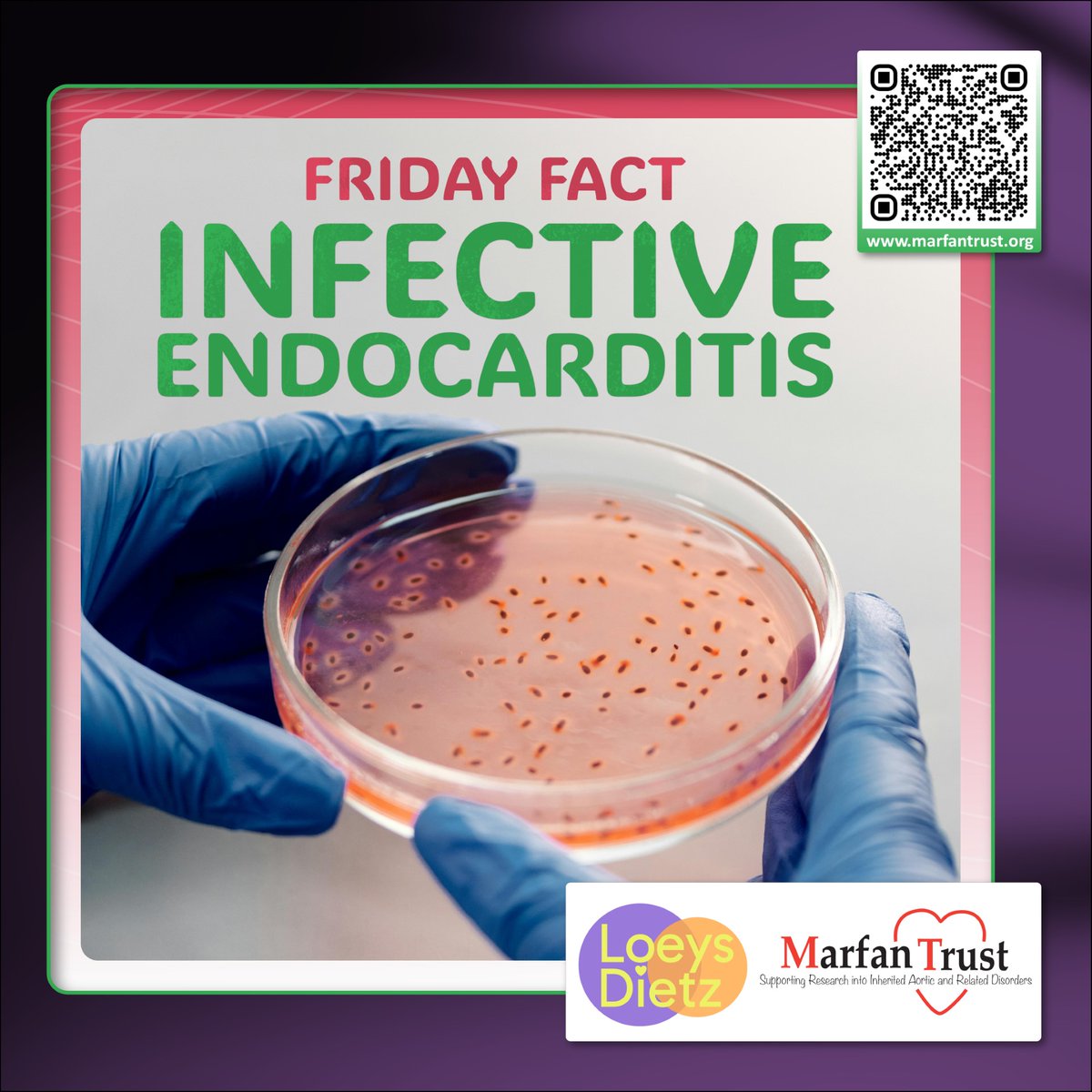 A stark Friday fact created in response to an alarming article in the Guardian - bit.ly/43NhS6J - on the devastating consequences of failing to give dental patients w/ heart conditions antibiotic cover. Order your IE alert card today. bit.ly/3VMy2LO #marfan