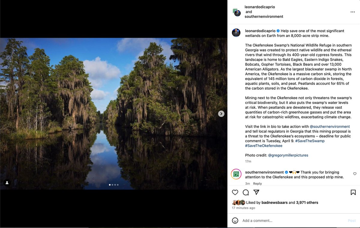 Leo loves the swamp. Leonardo DiCaprio has joined the hundreds of thousands of people that oppose a proposed strip mine at the doorstep of the iconic Okefenokee Swamp. You have four days left to take action and say 'no' to this reckless plan: selc.link/48nRktj