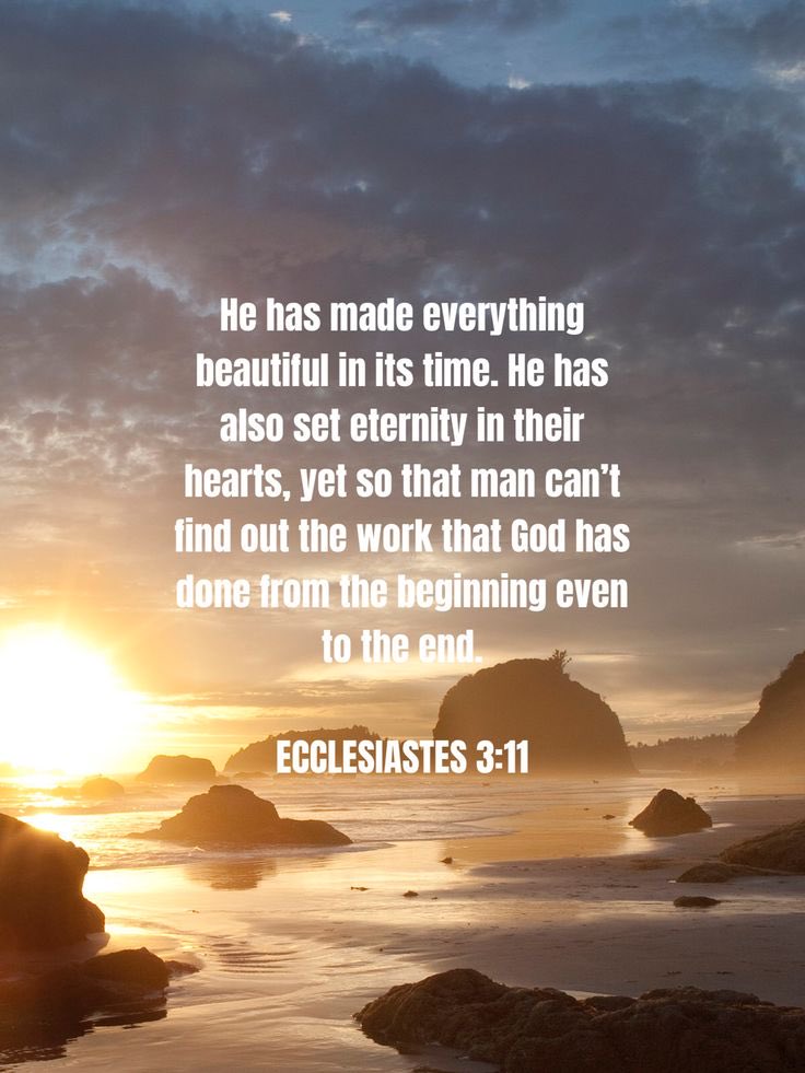 Good afternoon Fishers of Men🪝✝️ Read Ecclesiastes 3:1-11 There is a time for everything… Dear Jesus, Solomon was right. Life is a rollercoaster. Thank You for making this life valuable and worth the effort. And thank You for the eternal joys that await. Amen