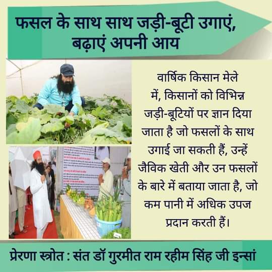 Revered Guru Saint Dr.Gurmeet Ram Rahim Singh ji Insan suggested many useful agriculture tips to farmers. Millions of people are doing #OrganicFarming by following these amazing valuables agriculture tips of #SaintDrMSG
#NationalFarmerDay 
#FarmersDay