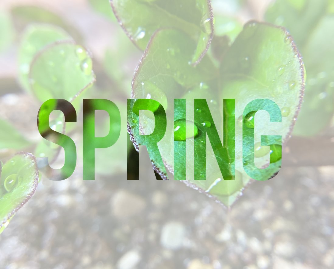 I just created a new word art example for our middle school photography class next week. We took some photos of rain drops &amp; we will be combining our macro photos with Keynote for some spring inspired word art. Thank you for your Apple Community Post, <a href="/MrMarcusAJames/">Marcus James</a>! #winfield34
