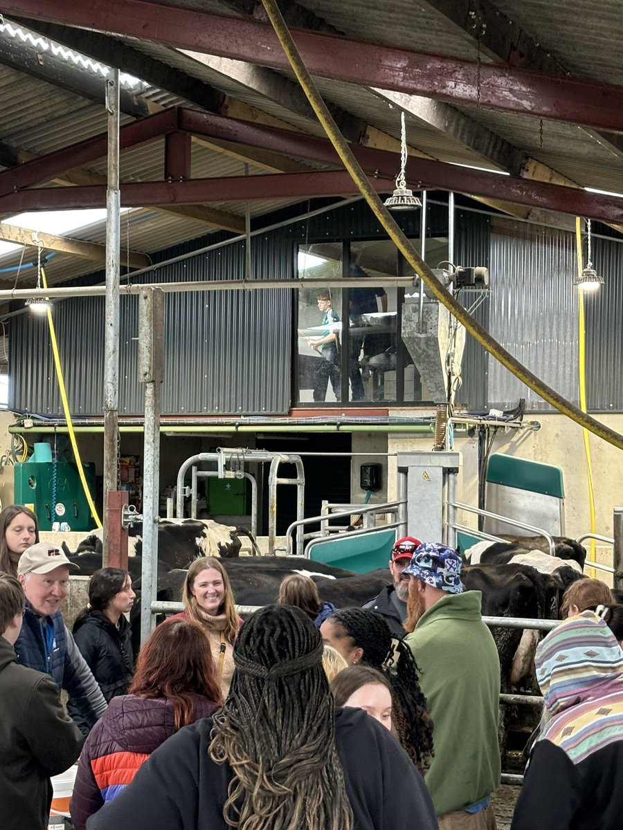 Noel Lynch tweet media