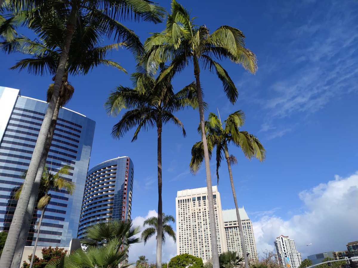 🌞Hello San Diego! Who else is excited for groundbreaking #CancerResearch discussions at #AACR24? 

If you're attending, come say hi at stand 1205 in the exhibition hall. Let's share insights &amp; collaborate! 🚀