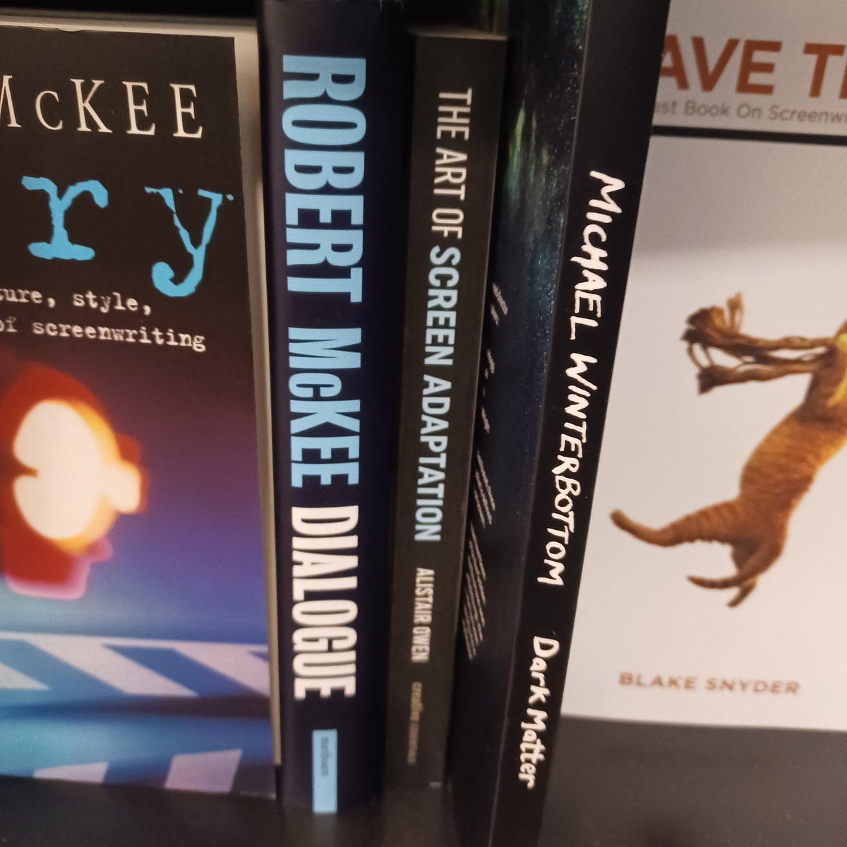 Welcome sighting of #TheArtOfScreenAdaptation, shoulder to shoulder with Robert McKee and Michael Winterbottom @Waterstones Piccadilly.