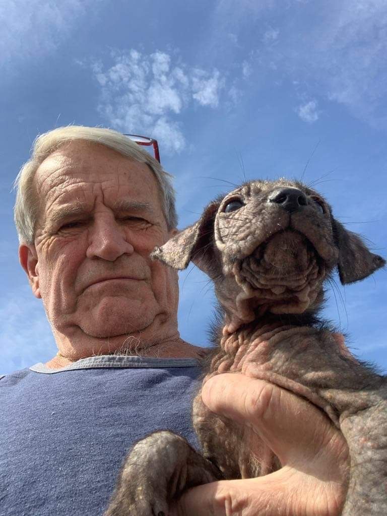 Lil Buster thinks Pilot Ed is absolutely pawsome!🐾Pilot Ed flew Buster from GA to Big Dog Ranch Rescue in FL, where he now has a 2nd chance at finding a forever home✈️Huge thanks to everyone involved for saving sweet little Buster. He's so grateful! 💖 #pilotsnpaws #dogrescue