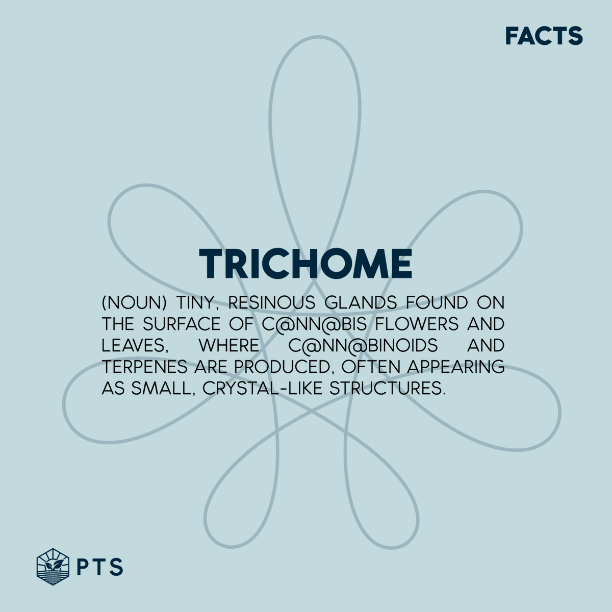 Shine bright like a trichome ✨