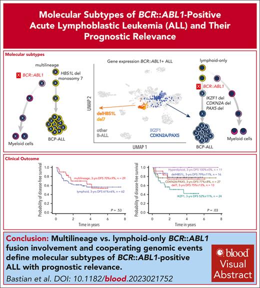 “Multilineage” vs “lymphoid-only” BCR::ABL1 involvement and distinct cooperating events determine gene expression in BCR::ABL1-positive ALL. ow.ly/3fLu50R8JAT #lymphoidneoplasia #clinicaltrialsandobservations