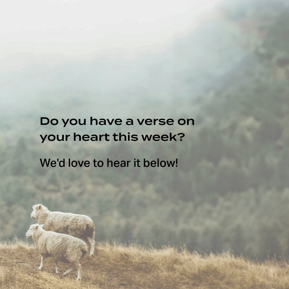 “Behold, I, I myself will search for my sheep and will seek them out.” - Ezekiel 34:11b (ESVUK) Do you have a verse on your heart this week? We’d love to hear it below ↓ #bibleverse #verseoftheday #dailybibleverse #247prayer