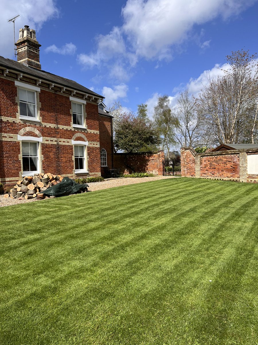 DH_Maintenance's tweet image. #weather #forecast was #spoton another #deluge overnight in to the #morning - once it #cleared was the #weekly #visit for these - so so #pleased with them - such a #buzz to have them all like this ❤️ @AllettMowers Classic doing its #thing 👍