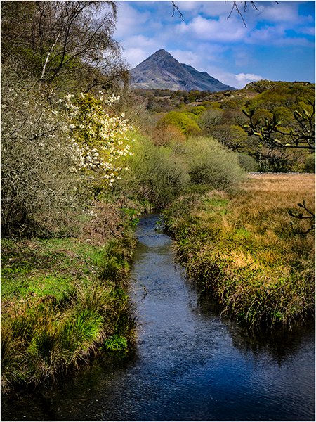 Gwanwyn y Cnicht 🏴󠁧󠁢󠁷󠁬󠁳󠁿