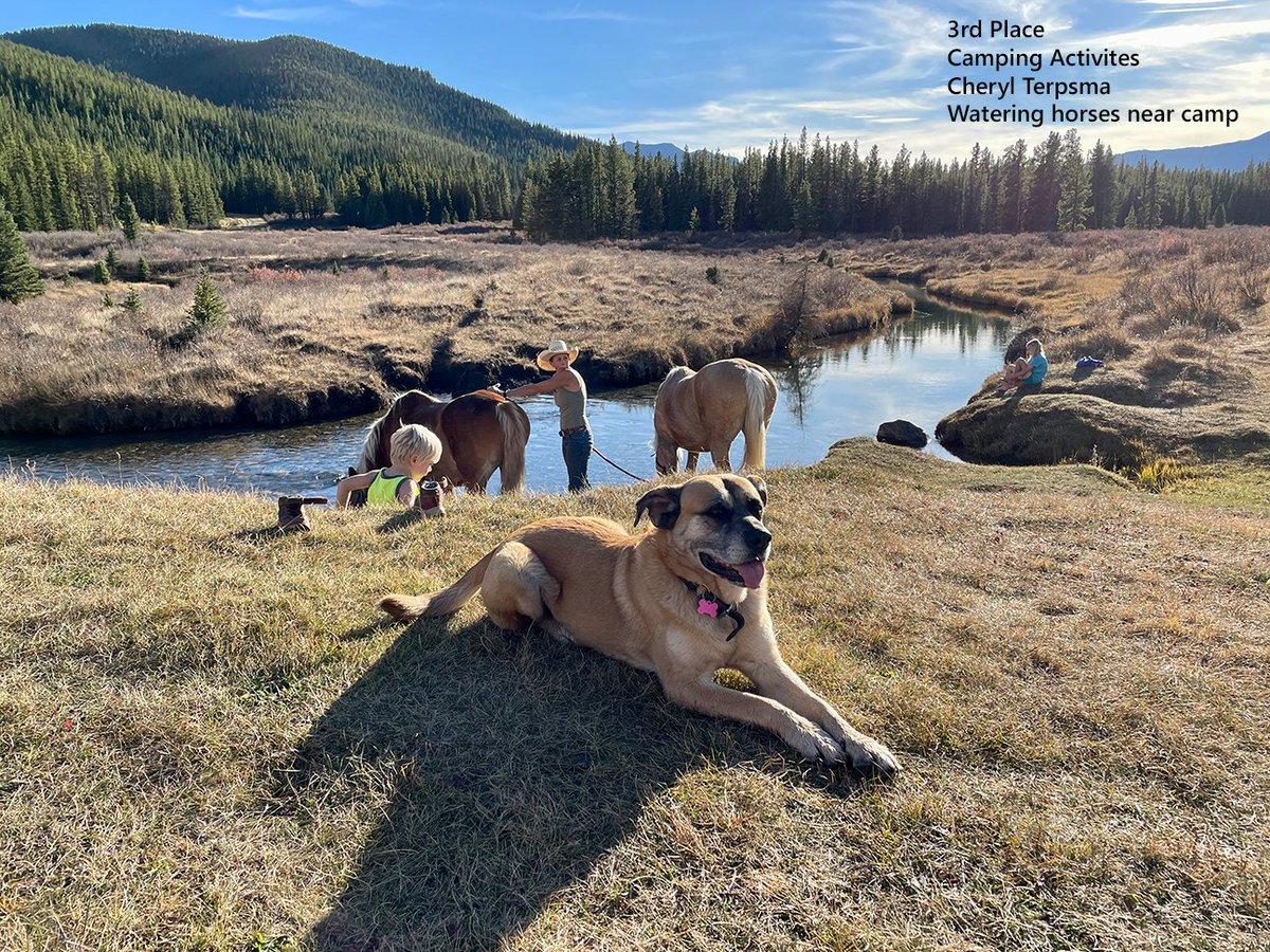 DavidThompsonCountry tweet media