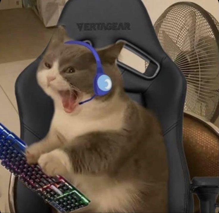 𝐌𝐘𝐓𝐈𝐍𝐆𝐀𝐋𝐄 tweet media
