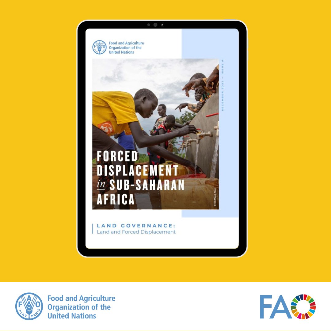 Did you know: -45% of displaced people worldwide live in sub-Saharan Africa -many have been displaced for 20+ years 📢Explore more in our new publication: Forced Displacement in Sub-Saharan Africa Read it now: fao.org/documents/card…