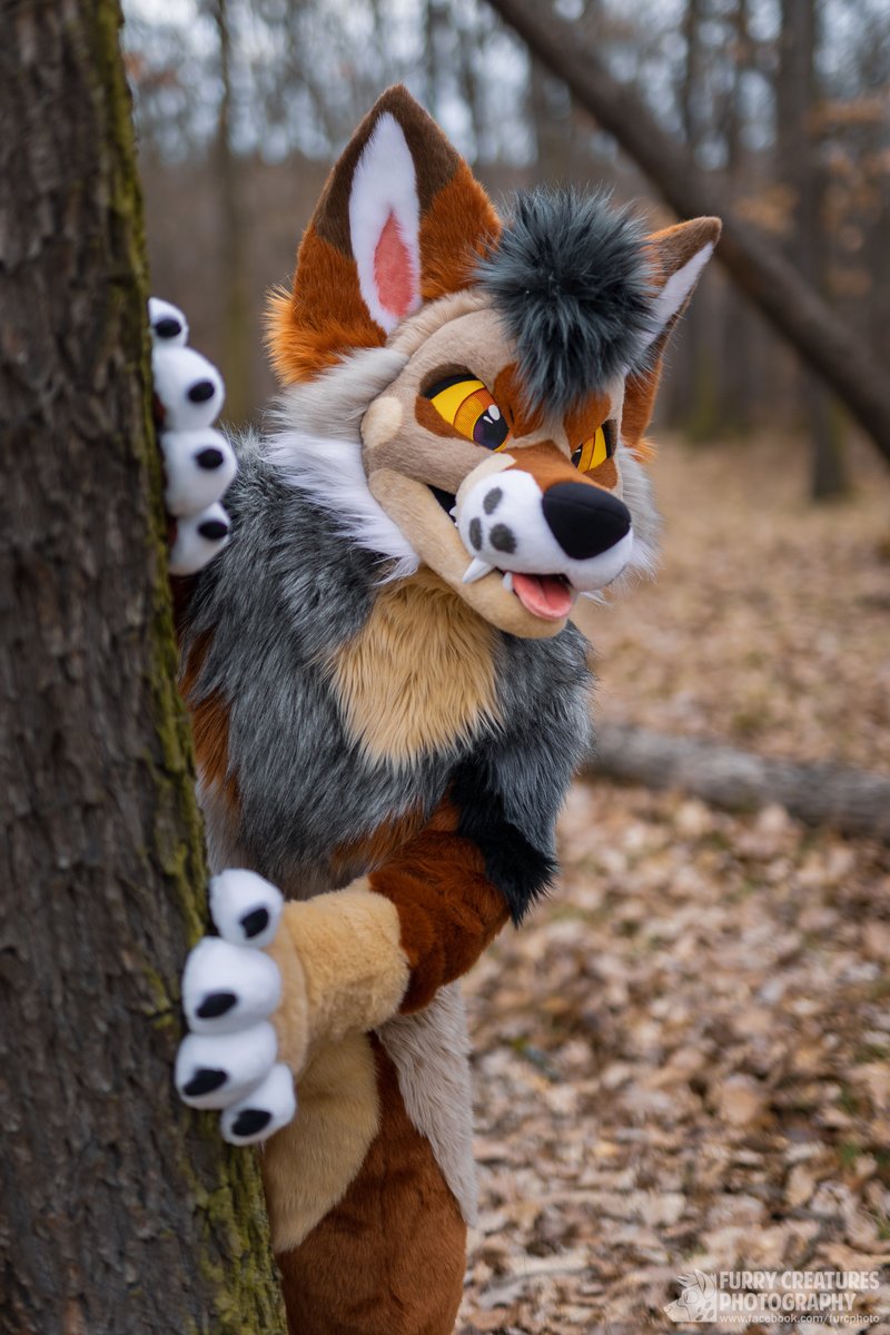 I smell #FursuitFriday >:P 🧵: @Zuri_Studios 📸: @FurCPhoto