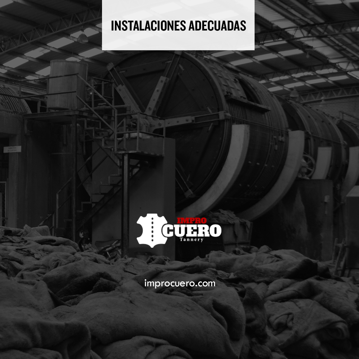 improcuero's tweet photo. En #Improcuero contamos con equipo e instalaciones adecuadas para producir el mejor #wetblue.
Visita nuestra web: https://t.co/GTgaWv0DW3

#WetBlue #Pieles #Leather #LeatherCompany #Tannery #Tenería #Curtidos https://t.co/fDsEvPN1to
