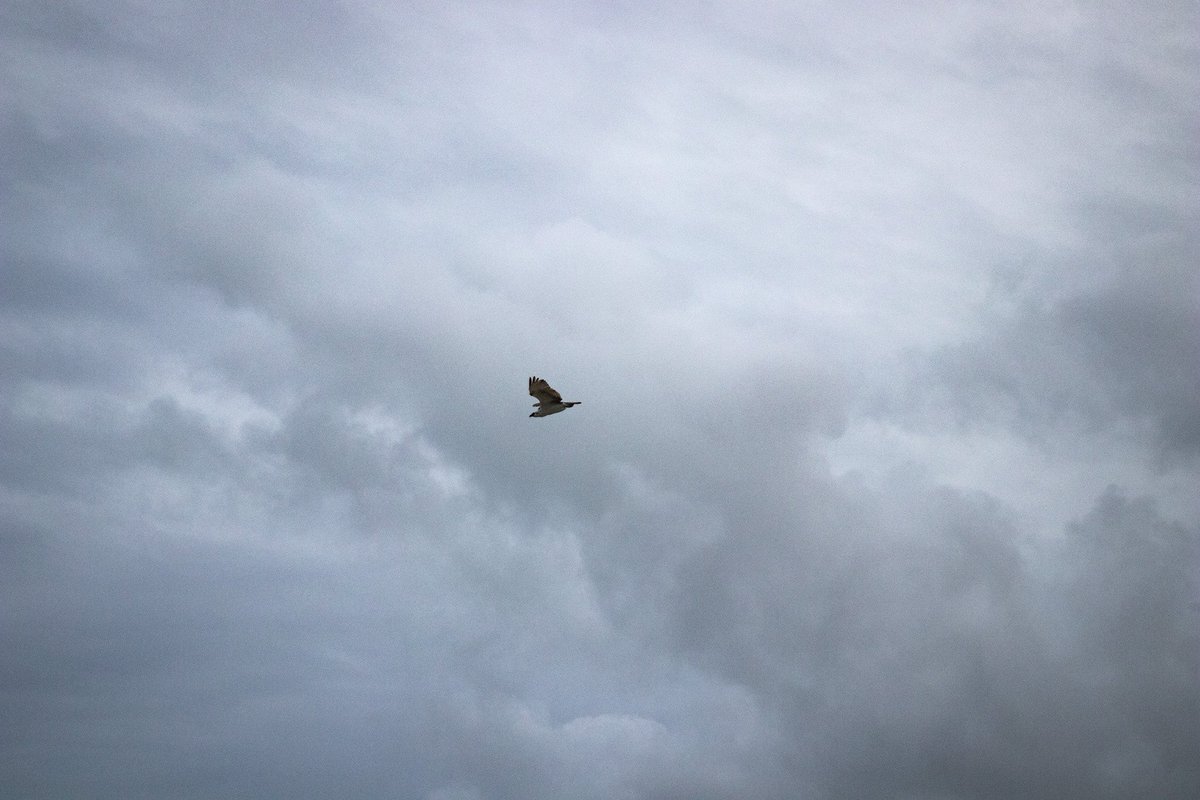 RevGlobalImages's tweet image. What does it mean to be free?