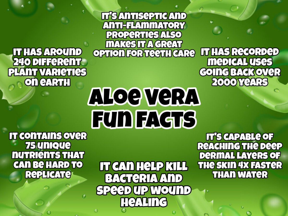 With the MANY benefits #AloeVera has... what's your favorite way to use it? It has benefits for oral use as well as topically!

 #AlchePharmaNaturals #supplementstore #supplements #vitaminstore #HealthFoodStore #Buellton #Orcutt #Nipomo #Aloe #aloeveragel #aloeverajuice
