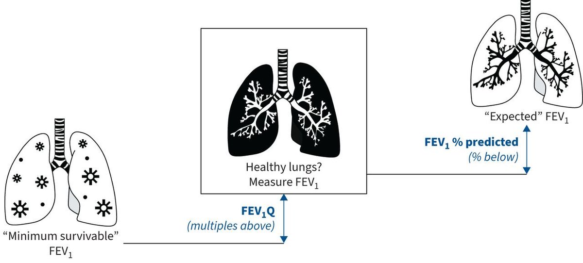 🔥🔥FEV1 quotient (FEV1Q) 🫁 ✅First percentile that represents a value below which survival is unlikely (400 ml in women and 500 ml in men, regardless of age >50 y). ✅New approach: express lung function as multiples of FEV1Q ▶️bit.ly/43P2aIv @ProfHurst