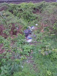 #KeepHarrowTidy #headstone #hatchend #litterpicking #litter #plasticwaste #keepbritaintidy Imagine walking up a steep mound just to throw your rubbish over the other side rather than put it in your bin.