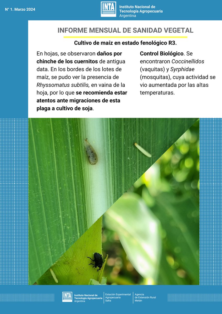 INTA Salta (@intasalta) on Twitter photo 🌿Damos inicio boletín mensual de protección vegetal
Brindamos información sobre estados fenológicos de soja y maíz en lotes sobre ruta 9 y 34 del Depto Metán.
Más info, contactarse a:
- María Noelia Ávila: avila.maria@inta.gob.ar
- Gustavo Chavarri: chavarri.gustavo@inta.gob.ar 🌿Damos inicio boletín mensual de protección vegetal
Brindamos información sobre estados fenológicos de soja y maíz en lotes sobre ruta 9 y 34 del Depto Metán.
Más info, contactarse a:
- María Noelia Ávila: avila.maria@inta.gob.ar
- Gustavo Chavarri: chavarri.gustavo@inta.gob.ar
