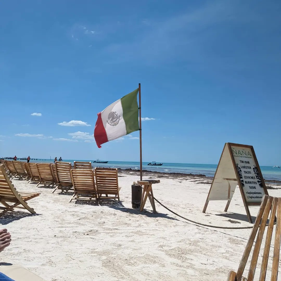 Dr Rob Bamberger tweet media