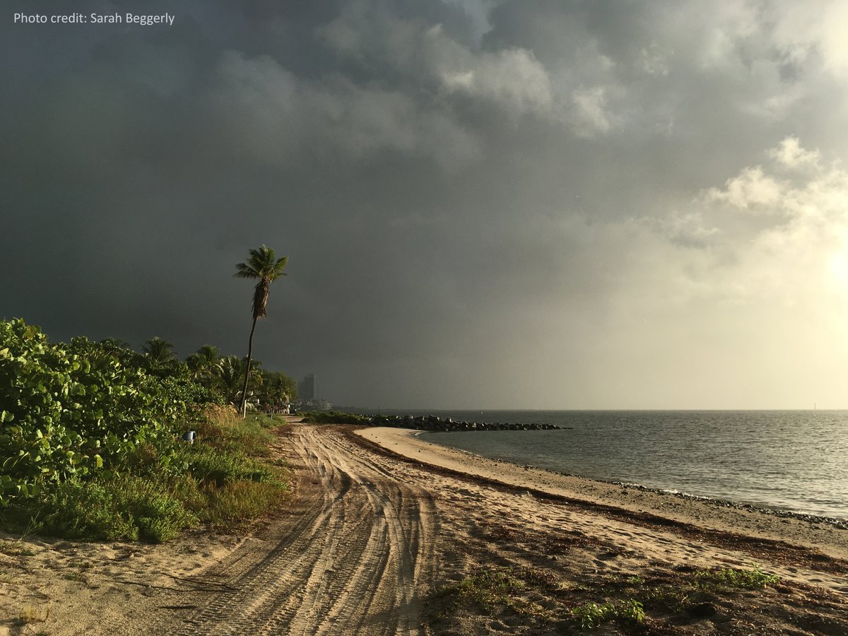 #CoastalManagement is preparing for storms.

Show us photos of coastal storms, #HurricanePrep, #LivingShorelines...whatever it might be! Submit your photos to our Coastal Management in Action photo contest before May 3.
coast.noaa.gov/about/photo-co…