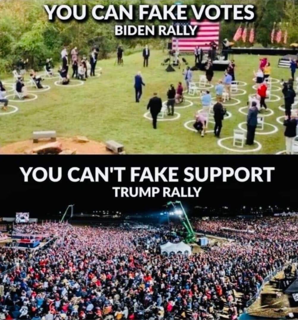 TooTall006 tweet media