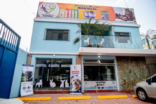 #HospitaldeMascotasMariscal atenderá todos los #serviciosveterinarios para #mascotas, desde #gatos, #perros, #aves, #reptiles, #animalesexóticos en todas las áreas de servicios como: #Grooming, #consultas #veterinarias, #cirugías, #guardería. quintopoder.com.gt/2024/04/05/hos…