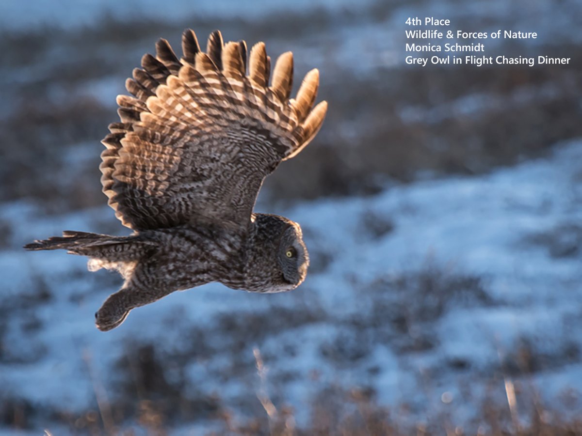 DavidThompsonCountry tweet media