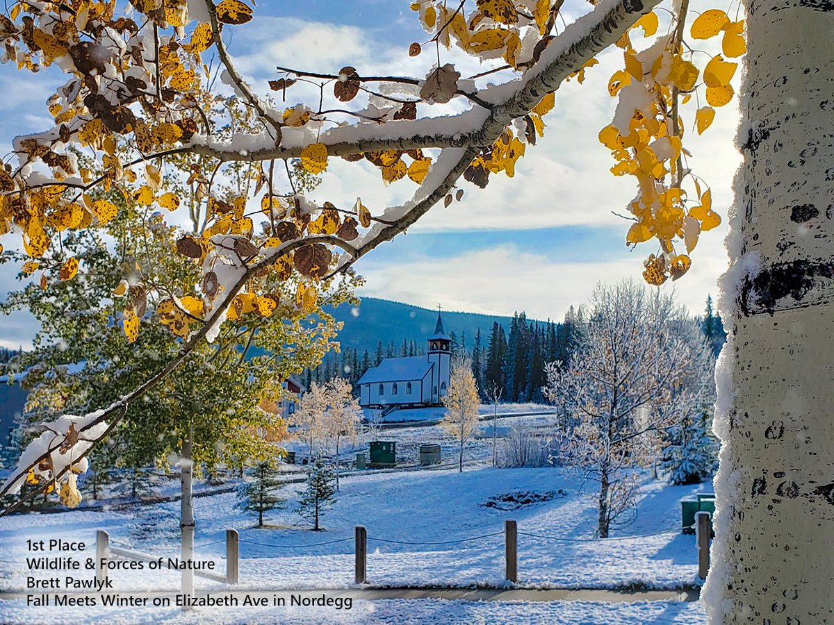 DavidThompsonCountry tweet media