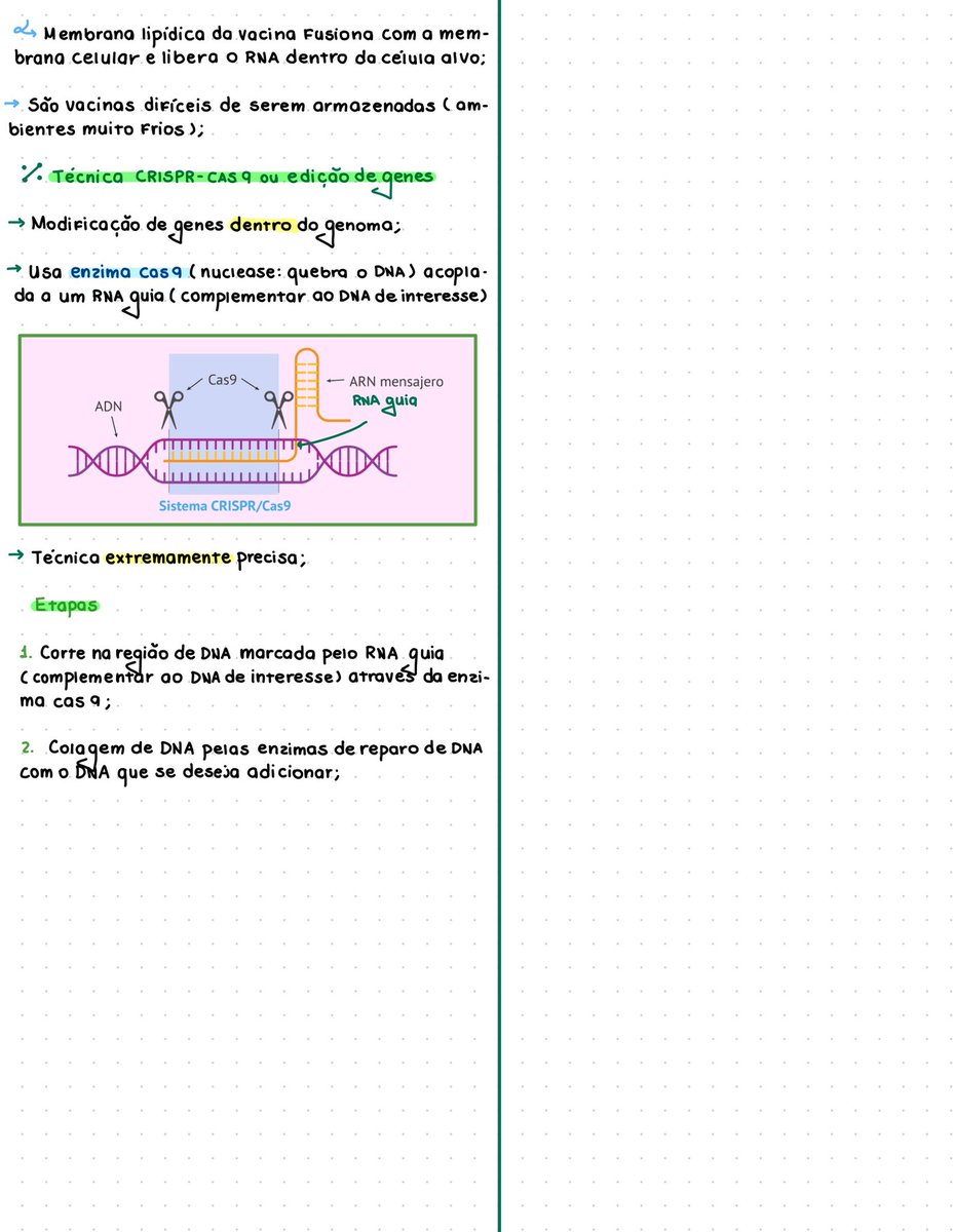 RESUMO DE BIOTECNOLOGIA 💚✨

Anotações feitas com base nas aulas do professor Landim!! ♡ 

eu achei que já tinha postado, mas parece que não….