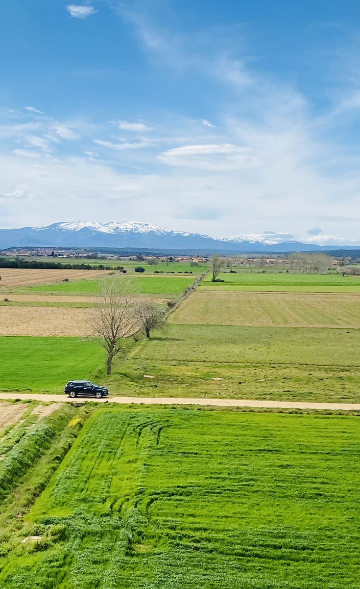 ekadantamed's tweet photo. La Torre de Fresno sigue vigilando la Valduerna:
Hoy hemos dado una vuelta por esta zona. Alzándose entre un llano, puede sorprender que con el paso de los siglos esta torre todavía siga en pie, pero claro está, esta torre es de origen romano! #leon #valduerna #romanos 💚 https://t.co/ltrMMkCtqf
