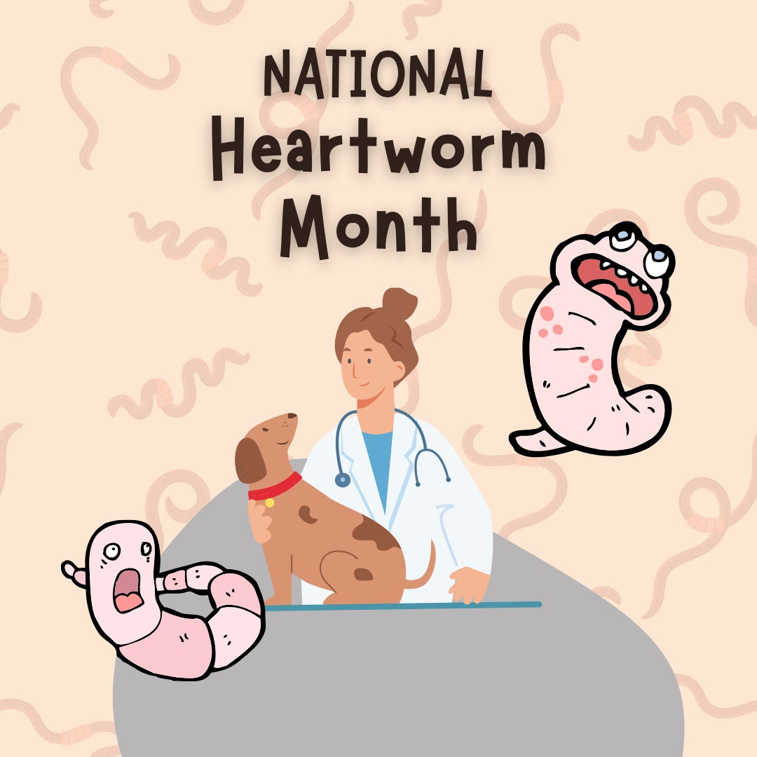 Don't let heartworms steal your pet's health. Take action this Heartworm Prevention Month! 🐶🚫  

#PetloversAnimalClinic #Vet #Veterinarian #PetGrooming #PetClinic #AnimalHospital #AnimalClinic #PetBoarding #EmergencyVetClinic