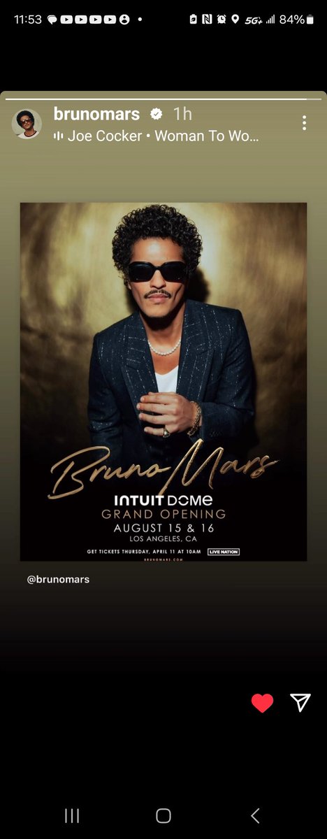 Bruno's Ladies Club🌹 tweet media