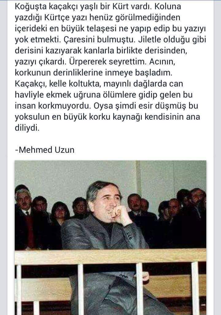 ayse__gokoglu's tweet photo. https://t.co/6T0WeIFAO9
