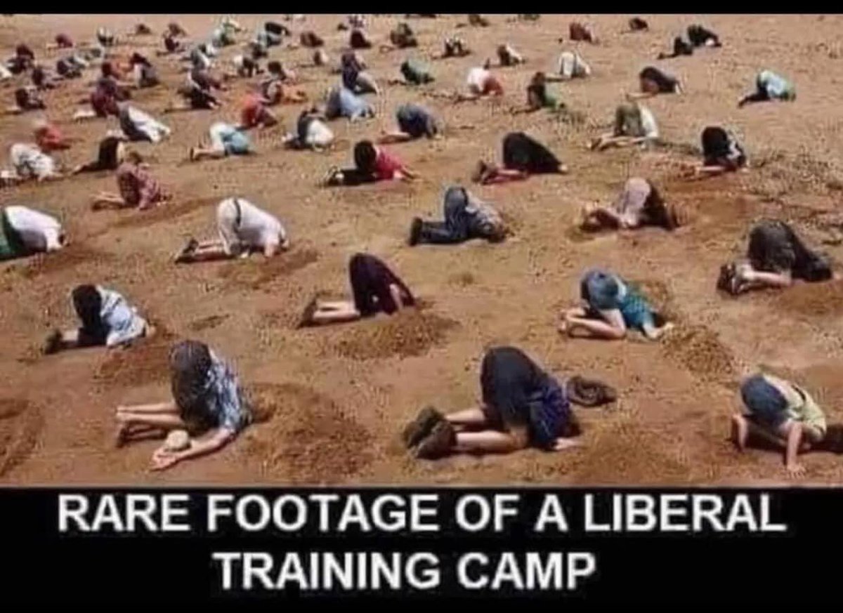 TooTall006 tweet media