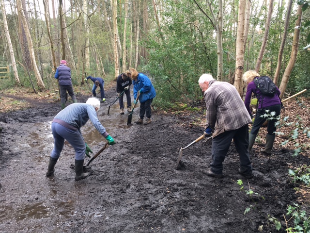 Mud, mud, glorious mud! That is what greeted the volunteers this morning as they got stuck in clearing the path, and the ditch, between Guildford Road and Wood Lane.  Not an easy job, so very well done team.

#fleetpondsociety #hartgreenspaces